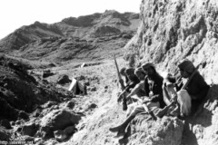 ���� ������ ��� ��� ����