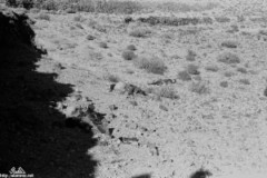 ���� ������ ��� ��� ����