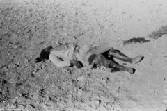 ���� ������ ��� ��� ����