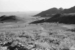 ���� ������ ��� ��� ����