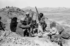 ���� ������ ��� ��� ����