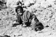 ���� ������ ��� ��� ����