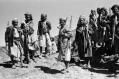 ���� ������ ��� ��� ����