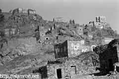 ���� ������ ��� ��� ����