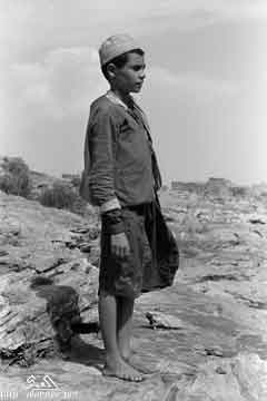 ���� ������ ��� ��� ����