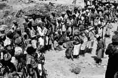 ���� ������ ��� ��� ����