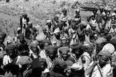 ���� ������ ��� ��� ����