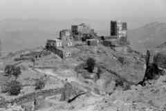 ���� ������ ��� ��� ����