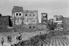 ���� ������ ��� ��� ����