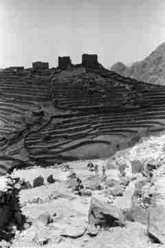 ���� ������ ��� ��� ����