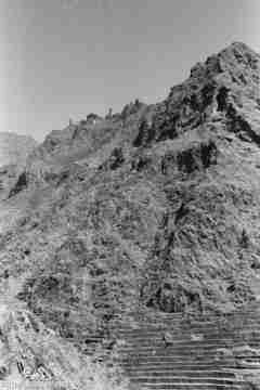 ���� ������ ��� ��� ����