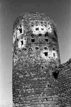 ���� ������ ��� ��� ����