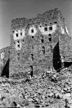 ���� ������ ��� ��� ����