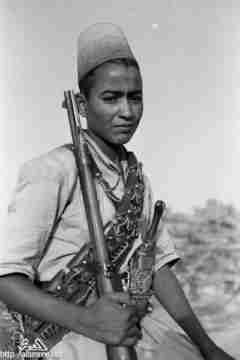 ���� ������ ��� ��� ����