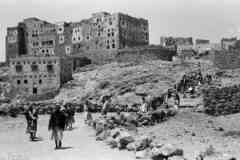 ���� ������ ��� ��� ����