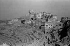 ���� ������ ��� ��� ����