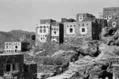 ���� ������ ��� ��� ����