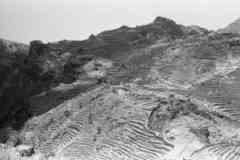 ���� ������ ��� ��� ����