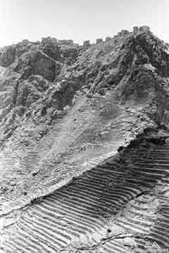 ���� ������ ��� ��� ����