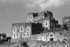 ���� ������ ��� ��� ����