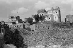 ���� ������ ��� ��� ����