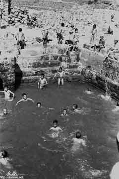 ���� ������ ��� ��� ����