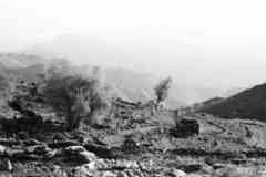 ���� ������ ��� ��� ����