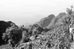 ���� ������ ��� ��� ����