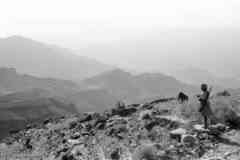 ���� ������ ��� ��� ����