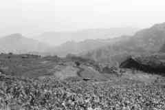 ���� ������ ��� ��� ����