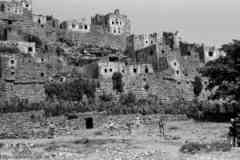 ���� ������ ��� ��� ����