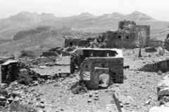 ���� ������ ��� ��� ����