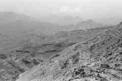 ���� ������ ��� ��� ����