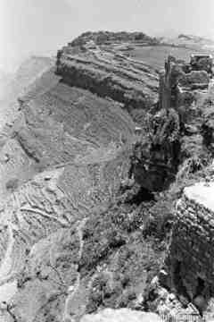 ���� ������ ��� ��� ����