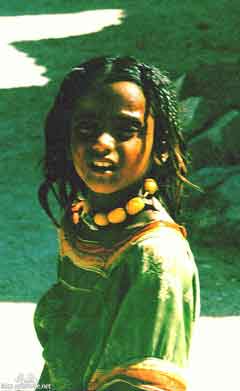 ���� ������ ��� ��� ����