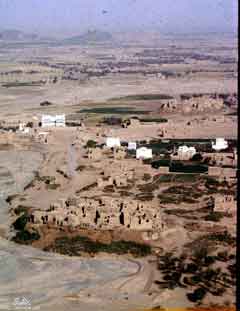 ���� ������ ��� ��� ����