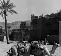 ���� ������ ��� ��� ����