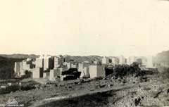 ���� ������ ��� ��� ����