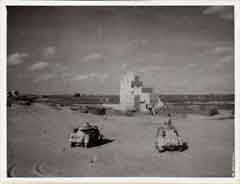 ���� ������ ��� ��� ����