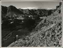 ���� ������ ��� ��� ����