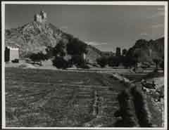 ���� ������ ��� ��� ����