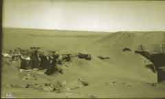 ���� ������ ��� ��� ����