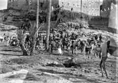 ���� ������ ��� ��� ����