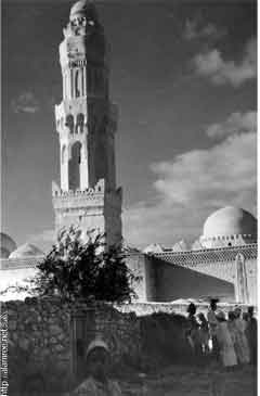 ���� ������ ��� ��� ����